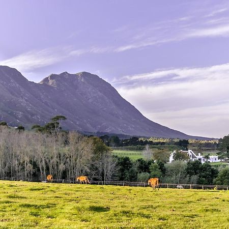 Hotel Hemel 'N Aarde Stud à Hermanus Extérieur photo