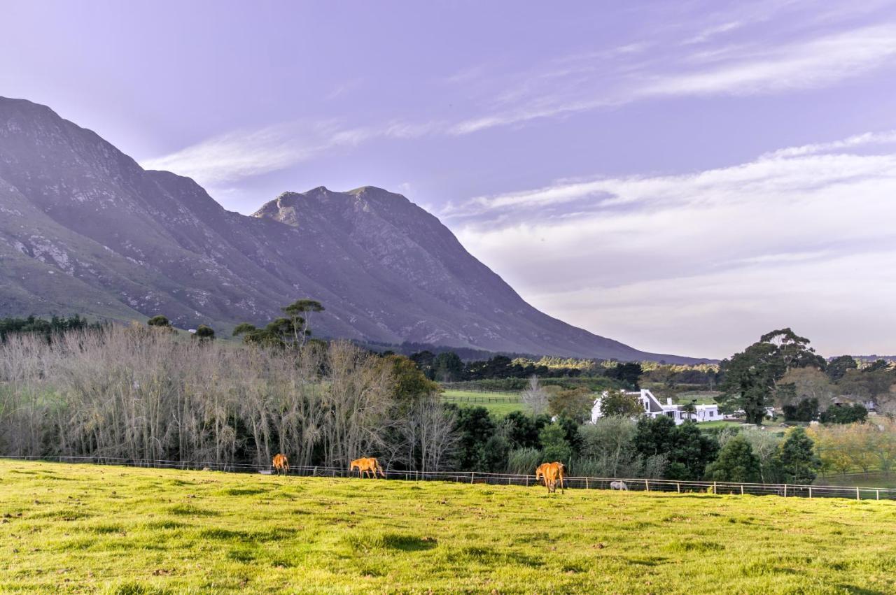 Hotel Hemel 'N Aarde Stud à Hermanus Extérieur photo