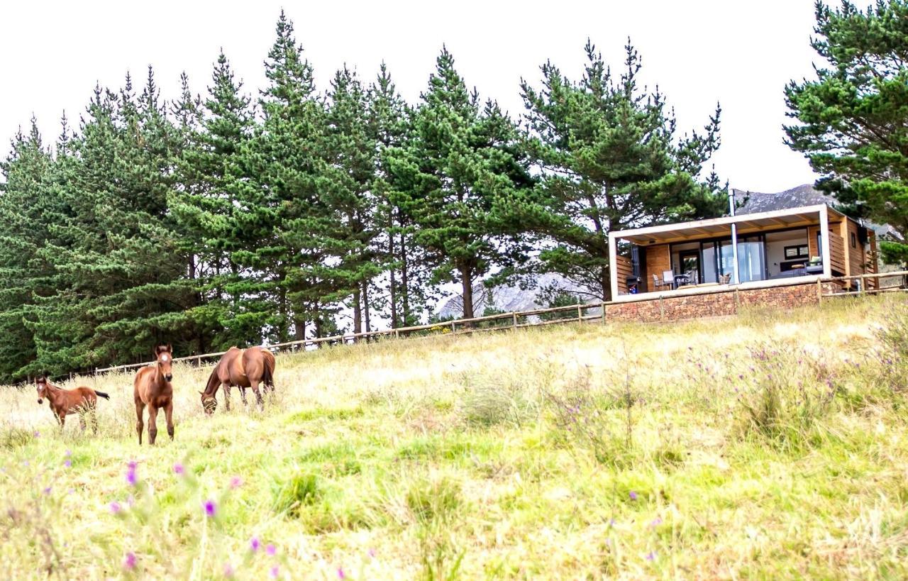 Hotel Hemel 'N Aarde Stud à Hermanus Extérieur photo